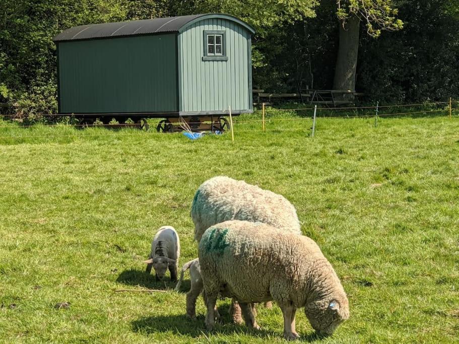 Willa The Piggery Cowfold Zewnętrze zdjęcie